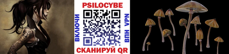 MEGA сайт  Брянск  Псилоцибиновые грибы Psilocybine cubensis 